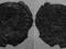 228.CONSTANTIUS II (337-361) folis