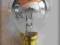 żarówka medyczna do lamp bezcieniowych 12 V 35 W