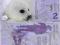 ARKTYKA  2 Dolary  2010  POLYMER UNC - FOKA