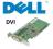 ADAPTER low profil DVI DELL przejściówka PCI GWFV