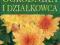 Wielka księga ogrodnika i działkowca Kawollek