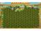 FARMERAMA 79 lvl bahama 89lvl  6 MLN SIANOGROSZY!!