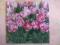 SERWETKI DO DECOUPAGE 1szt. = 60gr. TULIPANY