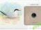Common Tern blister z moneta zobacz foto