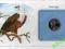 Fish Eagle blister z moneta zobacz foto