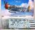 P-47D Thunderbolt  'American Aces' 1/48 Hasegawa