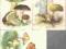 pocztówki GRZYBY Balcerzak RUCH 3 sztuki