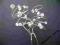 QUALITY* SZPILKI ozdoba do włosów KOKÓWKA crystal