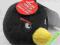 Angry Birds maskotka pluszowa dźwięk 11cm czarna