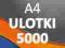 Ulotki / Plakaty A4 5000 - PROJEKT I WYSYŁKA 0 zł