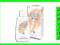 LACTACYD FEMINA 200ml - higiena intymna APTEKA