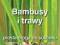 BAMBUSY I TRAWY - Prosta droga do sukcesu