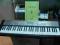 KEYBOARD CASIO LK-120