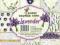 Papier SCRAPBOOKING-Zestaw 24szt Lawenda