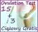 Testy OWULACYJNE owulacyjny 15szt+3 ciążowe GRATIS
