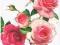 serwetki decoupage róże  / 42 / GRATISY ! :)