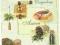 serwetki decoupage herbata / 31 / GRATISY ! :)