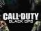 Plakat plakaty 61x91cm CALL OF DUTY / FP2775