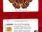 KARTA TEL. MOTYL / NIEMCY / N094 /0114/