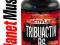 ACTIVLAB TRIBUACTIV B6 90 TRIBULUS ZMA TESTOSTERON