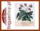 Brian Mathew Cyclamen In Art, Science and the Gard