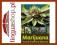Billy McCann Marijuana Home Grower's Manual
