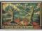 pocztówka PODMORSKI LAS bajeczna ANGLIA