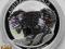 1 dolar - KOALA 2014 - 1 Oz. Ag 999