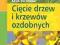 Cięcie drzew i krzewów ozdobnych krok po kroku