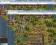 The Settlers Online 50 lvl Czarci Gaj WARTO!!!!!
