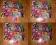 Monster High Zestaw  44 KART DO KOLEKCJI