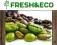 Fresh&amp;Eco kawa zielona santos mielona 250g
