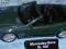 Welly Mercedes-Benz SL 500 zielony skala 1:34