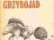 Grzybojad Galindo Proza iberoamerykańska 1982