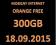 INTERNET LTE ORANGE - 300 GB - 18.09.2015 - od 1zł