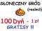THE SETTLERS ONLINE DYNIE SŁONECZNY GRÓD GRATISY !