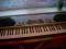 Organy Keyboard CTK 481