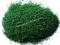 POROSTY Radagasta  Ciemna Zieleń