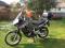 Honda Transalp 600v