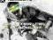 SPLINTER CELL BLACKLIST PL NOWA KIELCE ALLPLAY