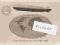 Zeppelin- lot w 1930r