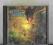 VOX INTERIUM - YEARING CD