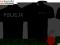 POLICJA, STRAŻ KOSZULKA POLO w TOP KOSZULKI 24h