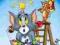 TOM I JERRY: ŚWIĄTECZNE PRZYGODY DVD