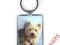 BRELOK BRELOCZEK RACHAEL HALE PIESEK YORK KUKARTKA