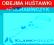 OBEJMA MOCOWANIE HAK HUŚTAWKI FI80 + KARABIŃCZYK