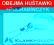 OBEJMA MOCOWANIE HAK HUŚTAWKI FI 100 + KARABIŃCZYK