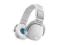 SONY NWZ-WH303**White**Fv23%**Gw24