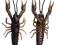 RACZKI SAVAGE GEAR 3D CRAYFISH MAGIC BROWN 12.5 CM