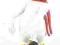 Figurka Looney Tunes Foghorn Leghorn